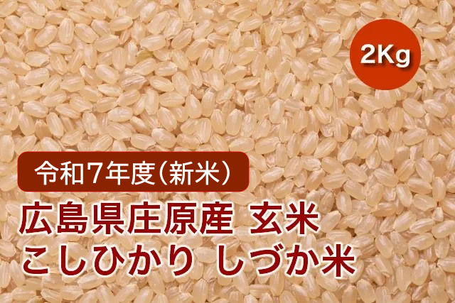 sizuka_genmai-2
